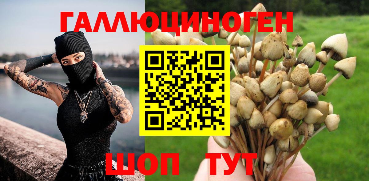 Псилоцибиновые грибы прущие грибы  Вход с VPN  Мирный 