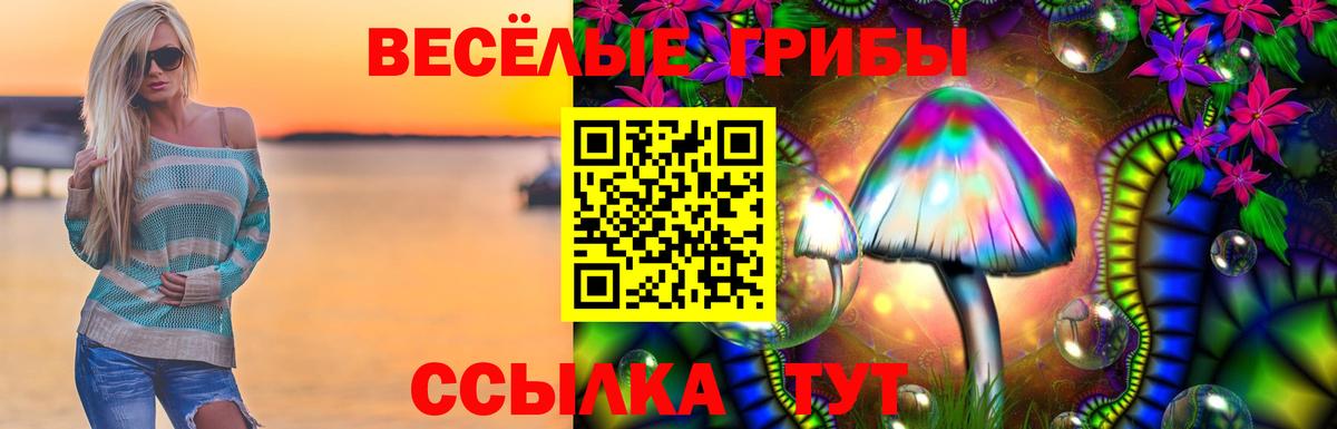 Псилоцибиновые грибы Magic Shrooms Мирный